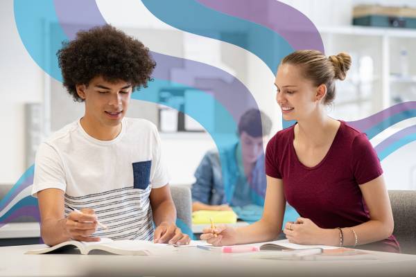 Two students working on school work together